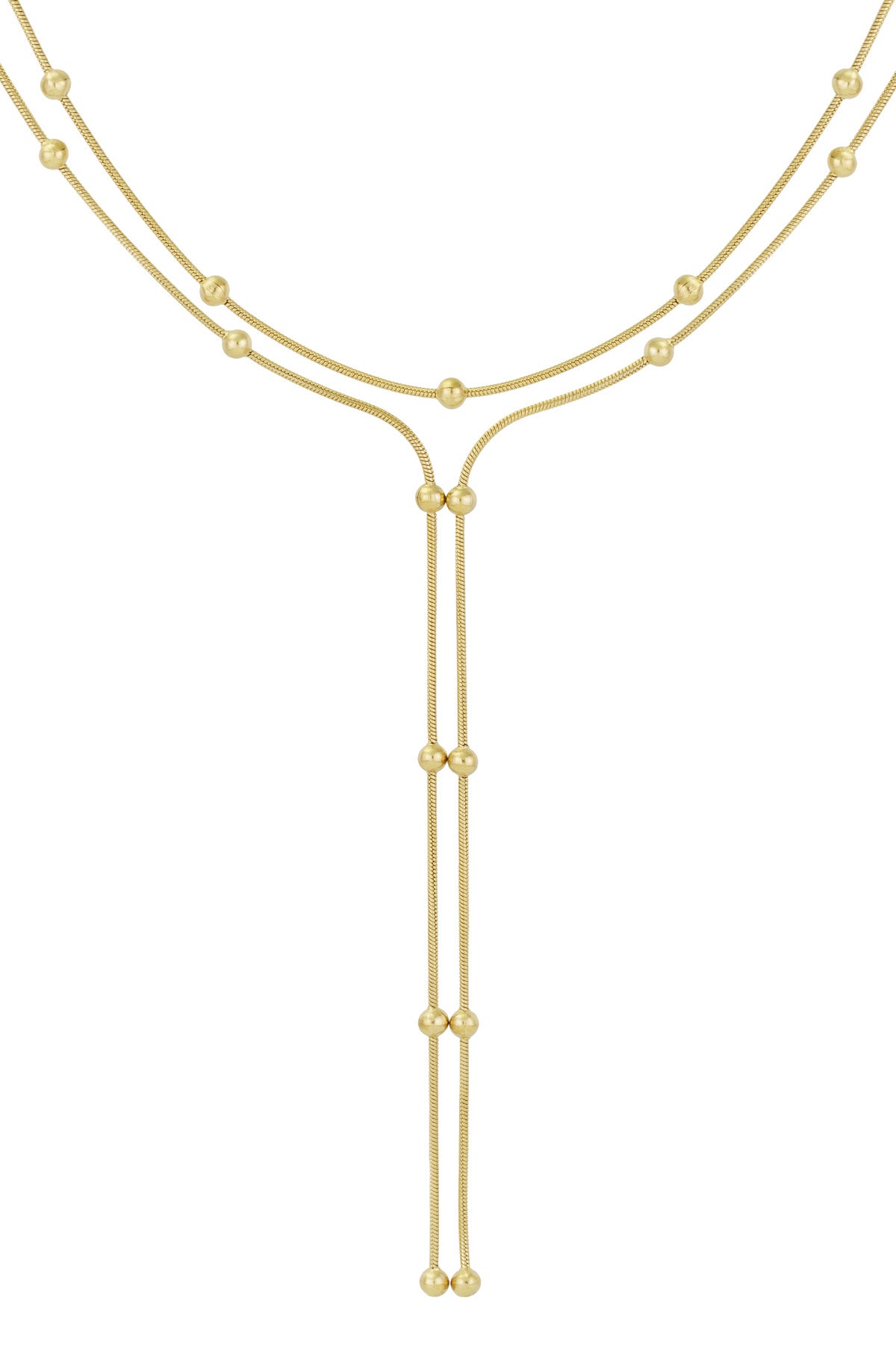 collar dotty delight